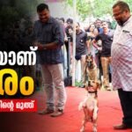 ലക്കിയാണ് താരം; കനകക്കുന്നിലെ ഓണം വാരാഘോഷത്തിന് സുരക്ഷയൊരുക്കി കേരള പോലീസിന്റെ സ്നിഫർ നായ